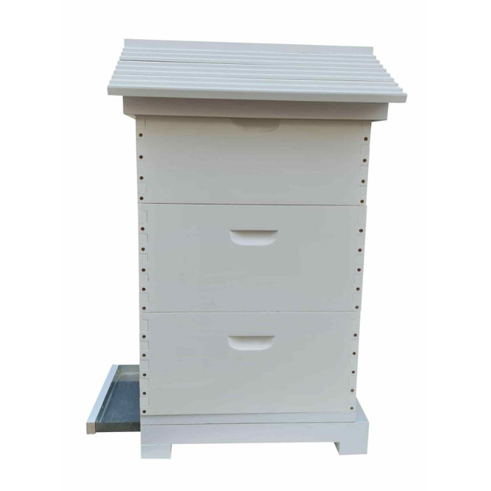 Beehive Assembled And Painted With Mesh Bottom Board