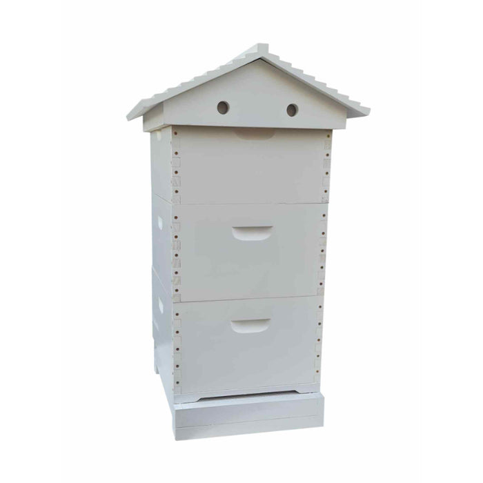 Beehive Assembled And Painted With Mesh Bottom Board